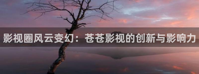 桃花岛在线影院：影视圈风云变幻：苍苍影视的创新与影响力